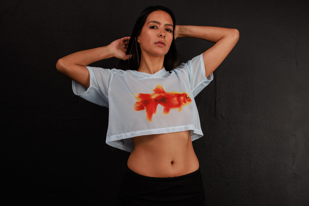 Gold Fish  Football Crop