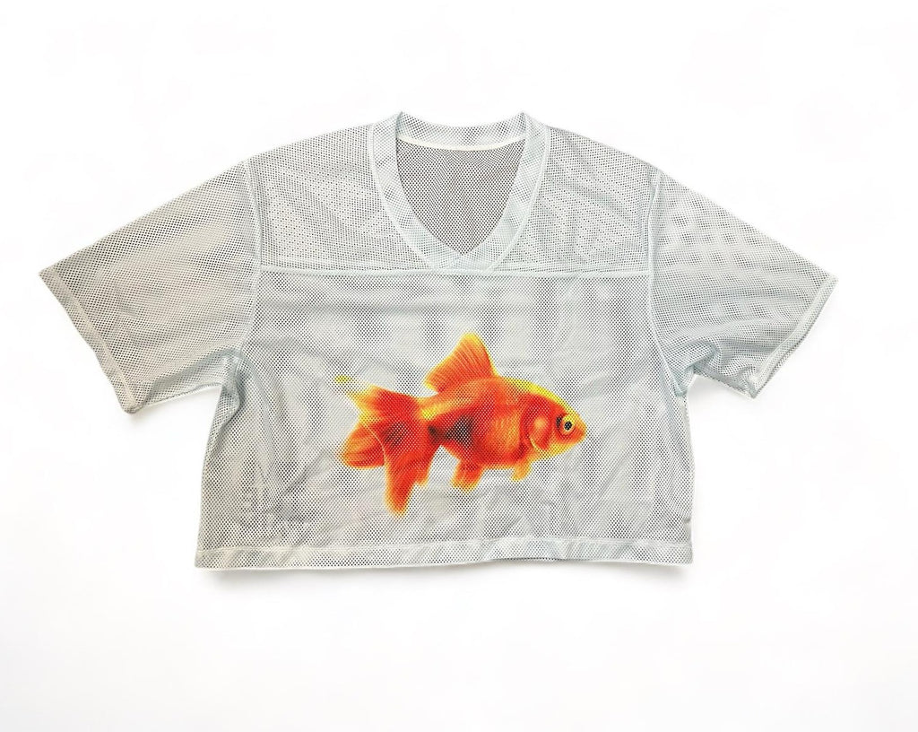 Gold Fish  Football Crop